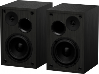 N-Gear Genesis | Speakers | Arsen 302BT | 20 W | Bluetooth | Wireless connection | Black NGS-2343