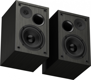 N-Gear Genesis | Speakers | Arsen 302BT | 20 W | Bluetooth | Wireless connection | Black NGS-2343